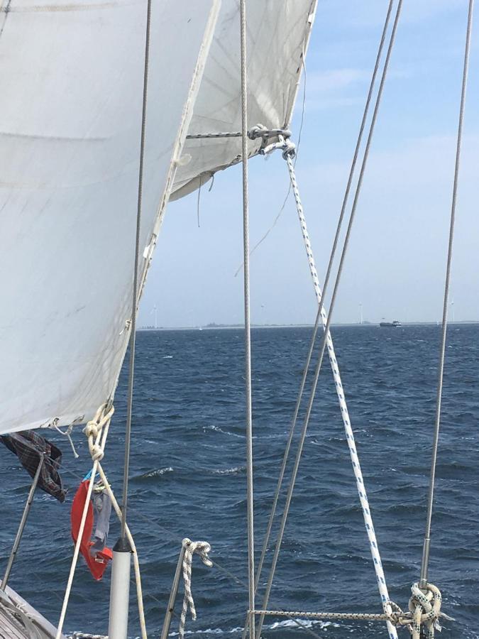 Stay Only Or Sailaway With Friends And Family Have More Fun Medemblik Extérieur photo
